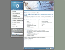 Tablet Screenshot of cornec-conseils.fr